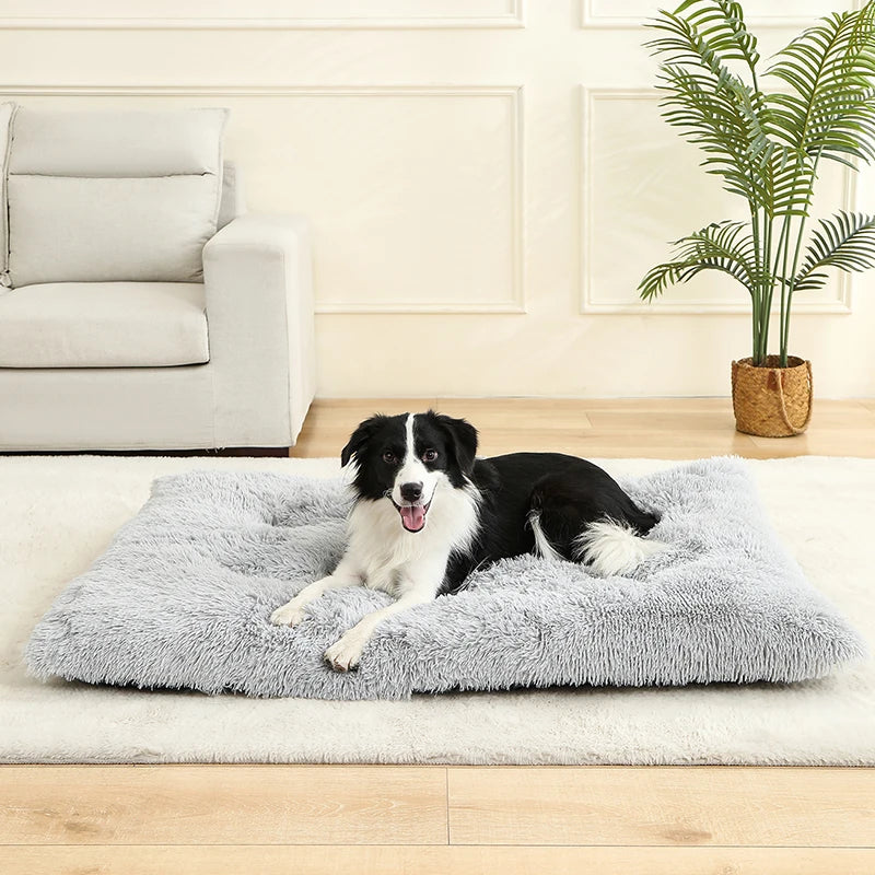 Luxurious Soft Plush Dog Bed - The Ultimate Cozy Retreat for Your Beloved Pets